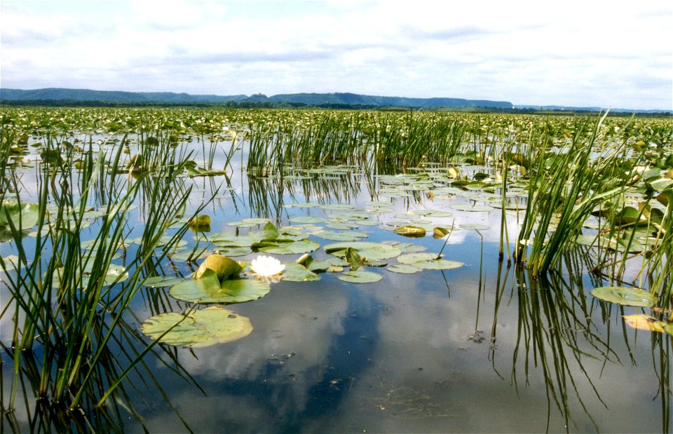 Trempealeau