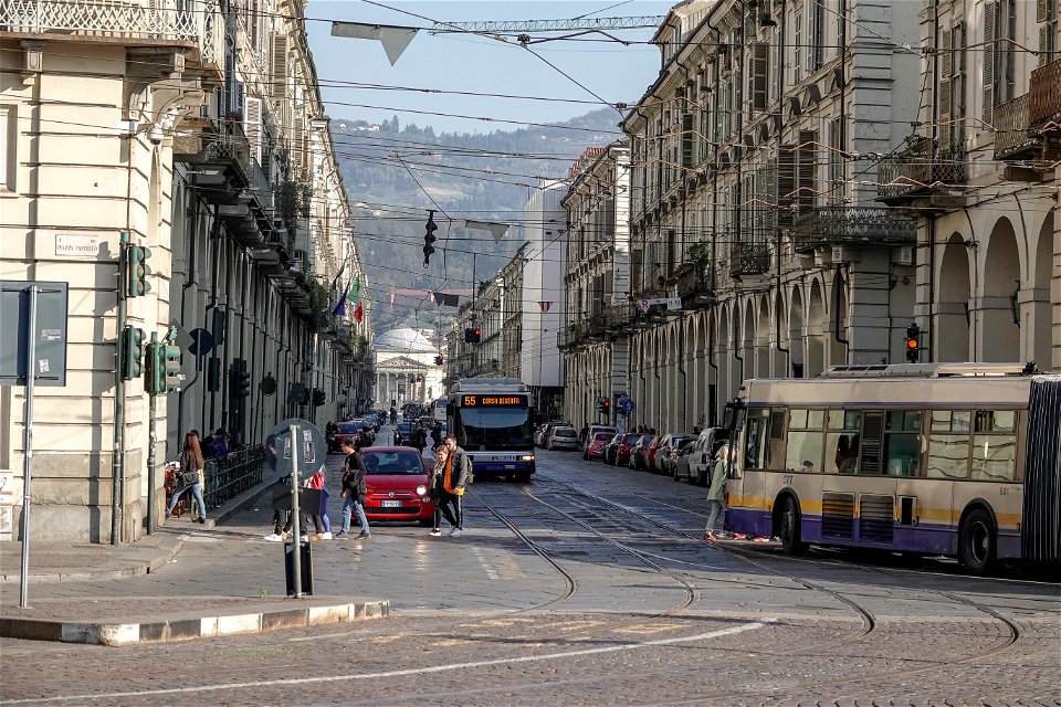 Visita a Palazzo Cisterna e Torino
