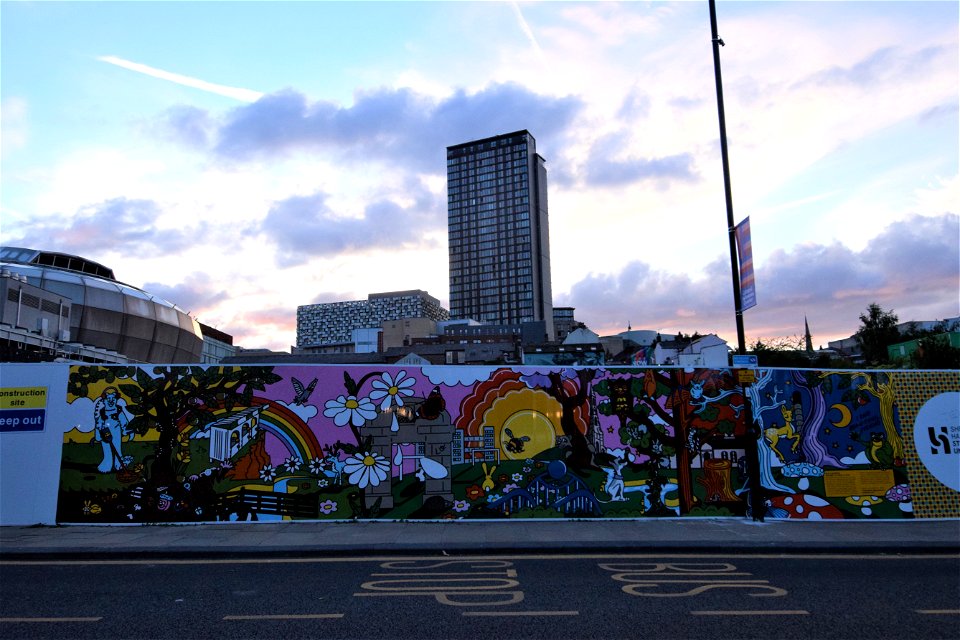 DSC_0767 (2)