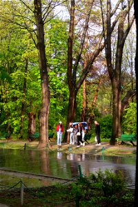 japanes_garden_rain_Herastrau (45)