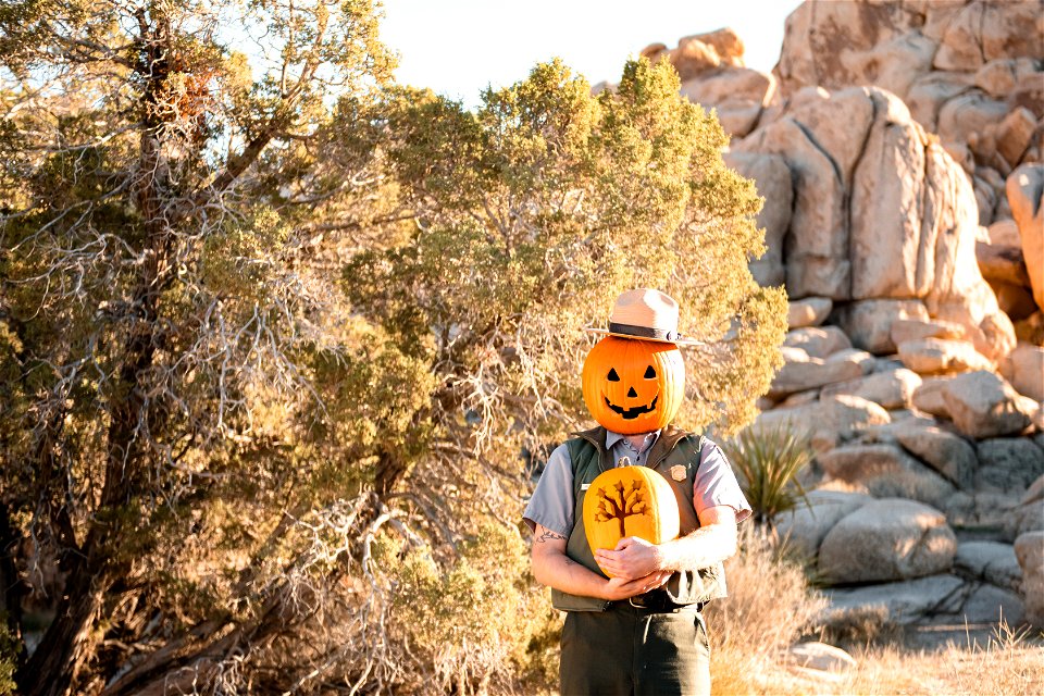 Ranger Jack O'Lantern