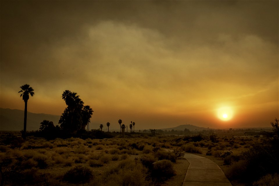 Oasis of Mara with smoke from the Apple Fire at sunset