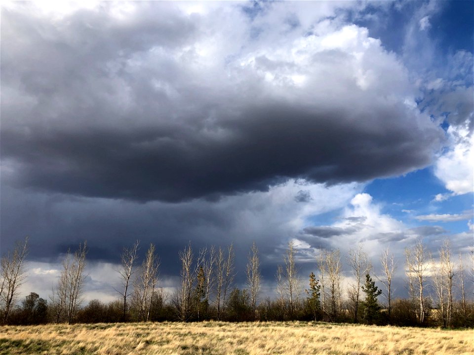 2021/365/132 There Goes the Rain
