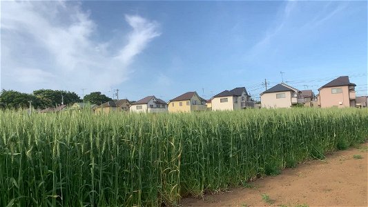 Takeoka in Kiyose-shi