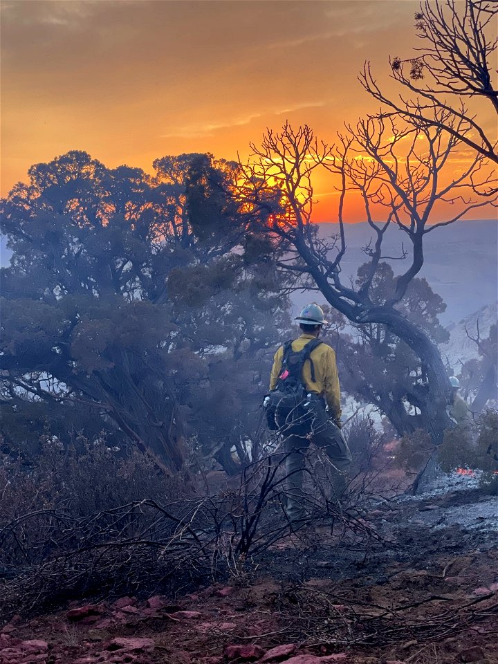2021 BLM Fire Employee Photo Contest Category: Fire Personnel