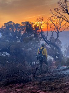 2021 BLM Fire Employee Photo Contest Category: Fire Personnel