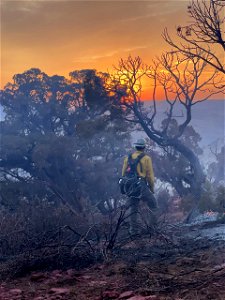 2021 BLM Fire Employee Photo Contest Category: Fire Personnel photo