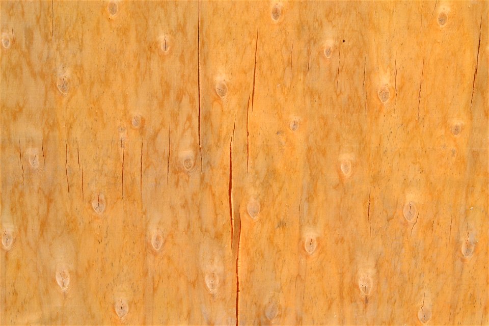 Texture