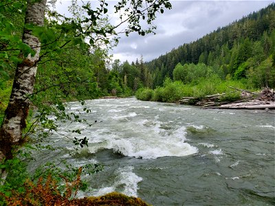Springtime Sauk River near Darrington, Mt. Baker-Snoqualmie National Forest. Photo by Anne Vassar May 17, 2021.