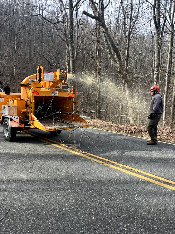 Ice Storm Cleanup