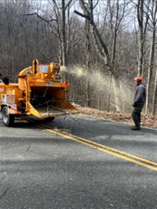 Ice Storm Cleanup