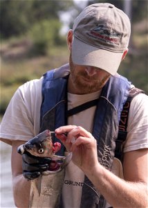Invasive Carp Research on the James River in South Dakota. Photo: Sam Stukel (USFWS)