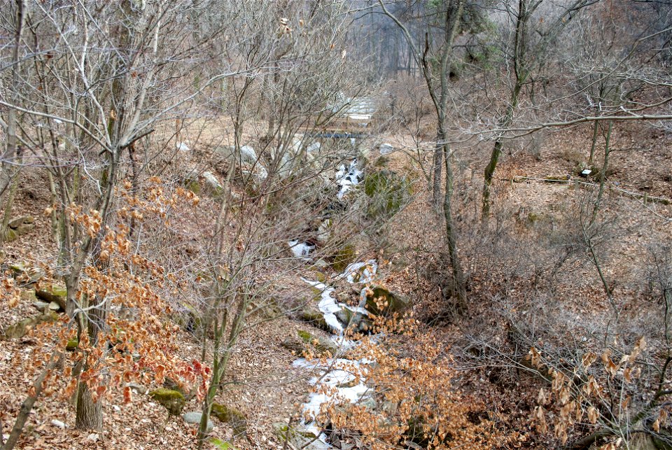 Hantaek Botanical Garden