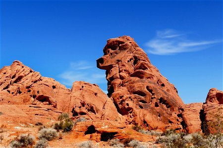 Poodle Rock. Valley of Fire Nevada.