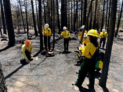 BAER team lead explains soil burns severity process to media