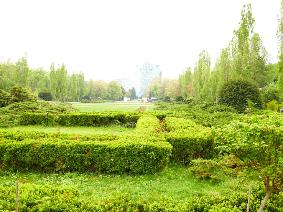 Herestrau Park in spring (101)