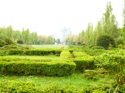 Herestrau Park in spring (101)