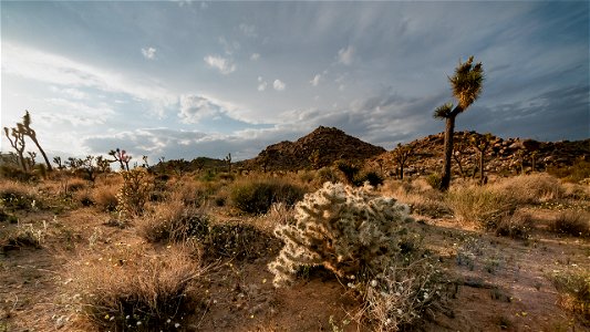 Wide view of desert landscape photo