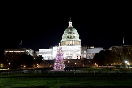 2022-1129-Capitol-ChristmasTree-Lighting-Ceremony (105) photo