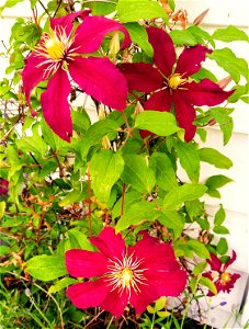 IMG_20220604_195229