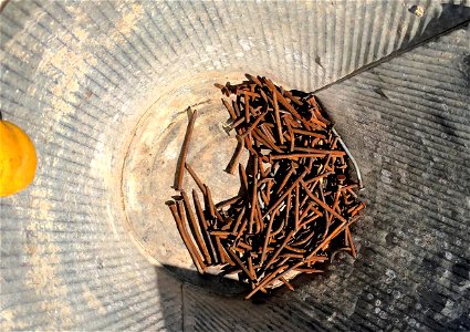 Reclaimed Nails