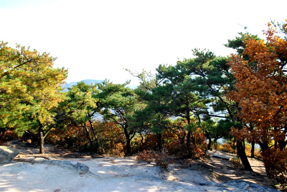 Deoksungsan Mountain