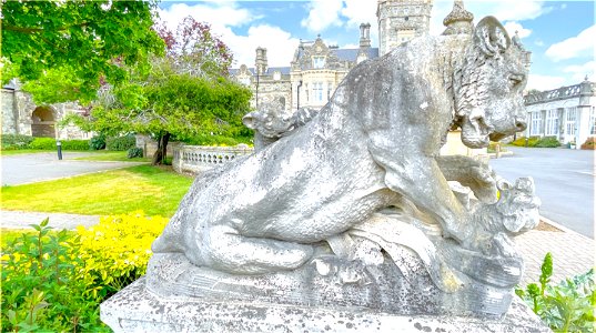 The Lions of Preston Hall.