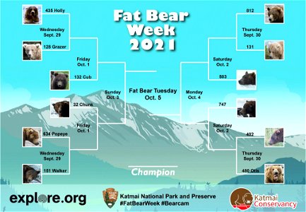 2021 Fat Bear Week Bracket photo