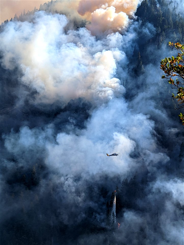 Rum Creek Fire