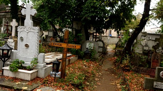 DSC06594