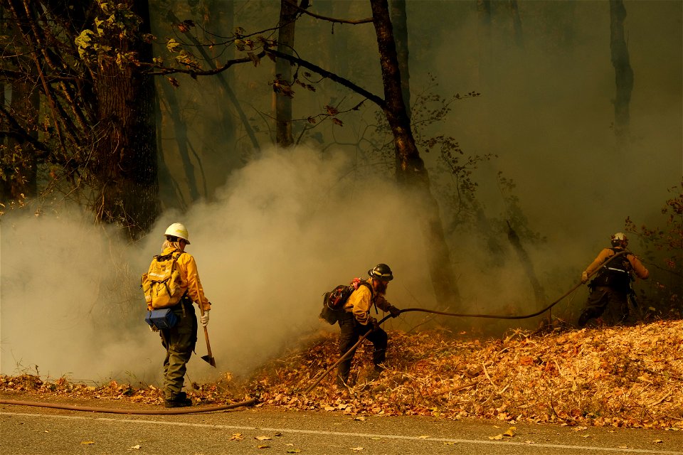 Hotspot Mitigation, Bolt Creek Fire, Washington