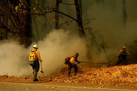 Hotspot Mitigation, Bolt Creek Fire, Washington photo