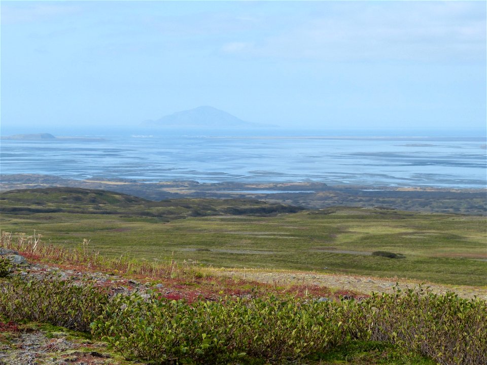 Fall colors in Izembek wilderness