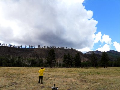 Pipeline/Haywire Fires June 2022 photo