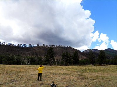 Pipeline/Haywire Fires June 2022