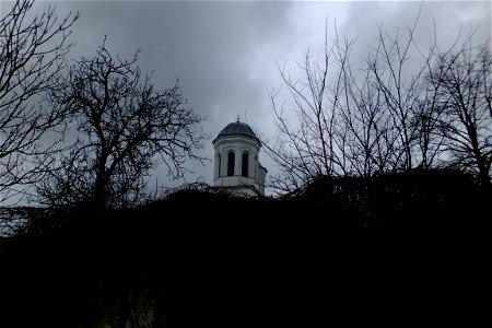 nori-Foisorului2015_0329_123305