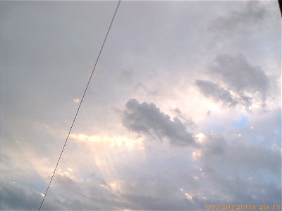 apus-caleavitan2003_0729_084120_17147472569_o
