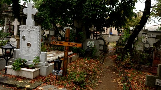 DSC06595