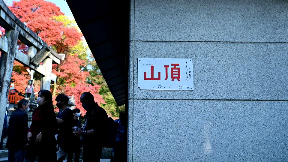 伏見稲荷/Fushimi Inari Shrine photo