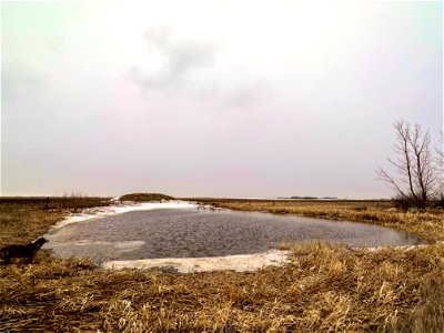 Full Slough!