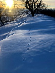 Footprints to the End of Time