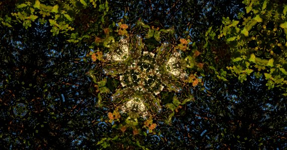 Kaleidoscope211210153406
