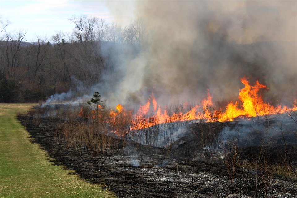 2021 USFWS Fire Employee Photo Contest Category: Fuels Management