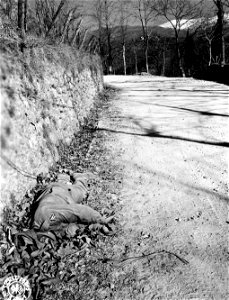 SC 198949 - The body of a dead Negro soldier bears mute testimony to the force of the German drive down the Serchio Valley.