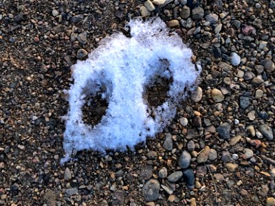 Snow Ghost