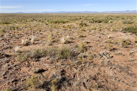 North side of Antelope Hill