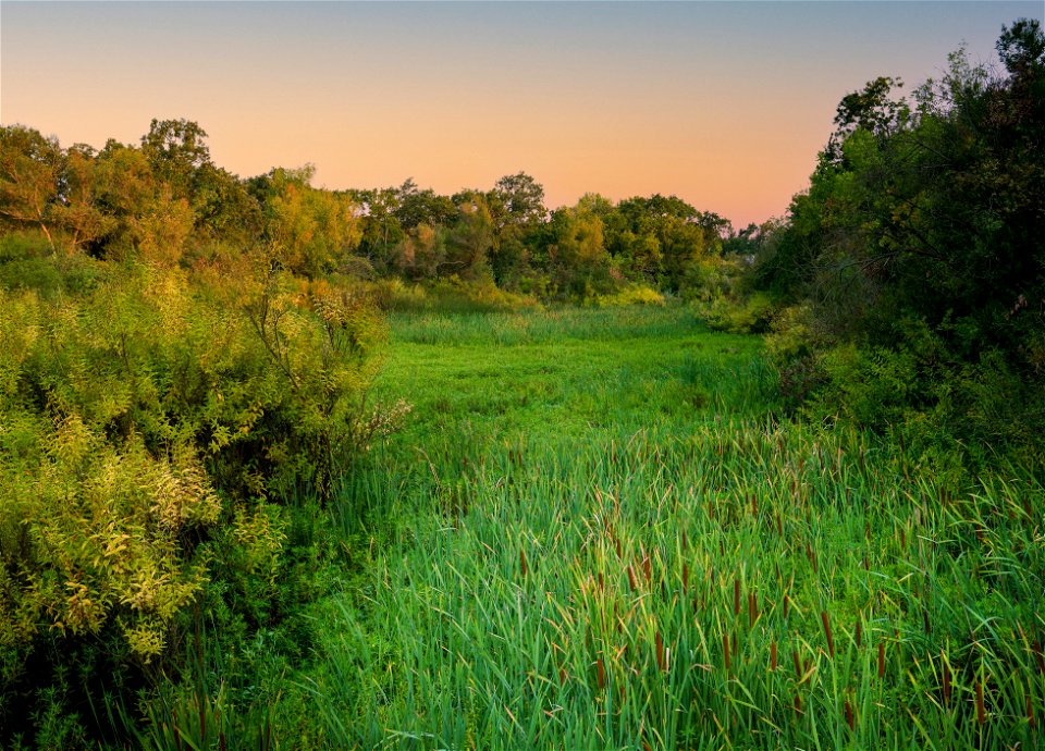 Cosumnes River Preserve