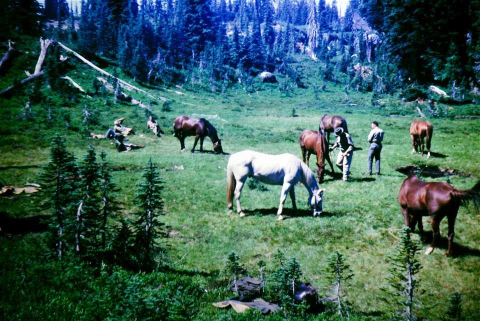 FS_R6_GP-August 01, 1962 -001