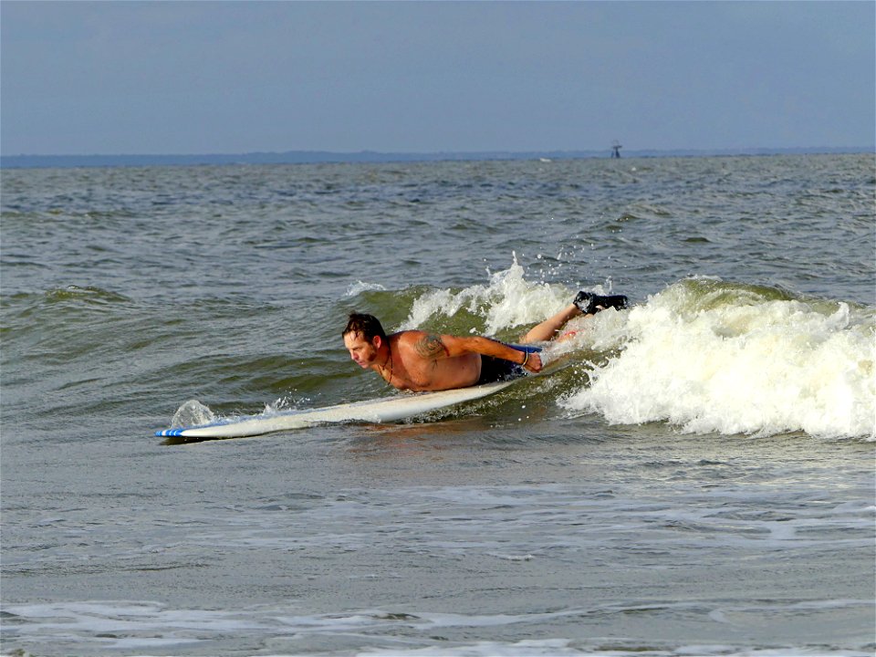 BABY THE SURFING TORPEDO-P1810255
