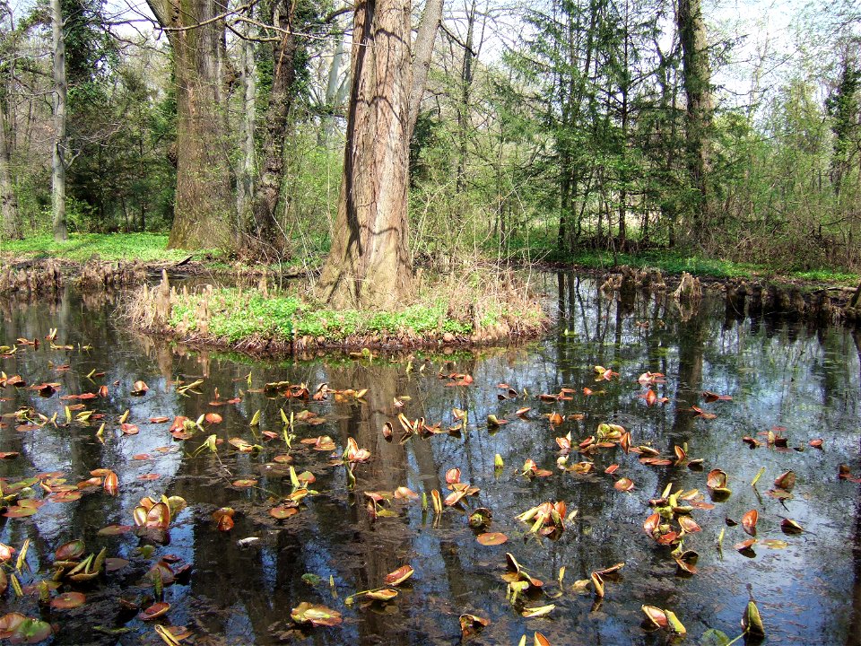 gradina botanica_02